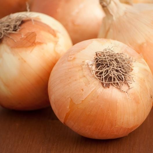 Sweet Onion Small 1 LBS