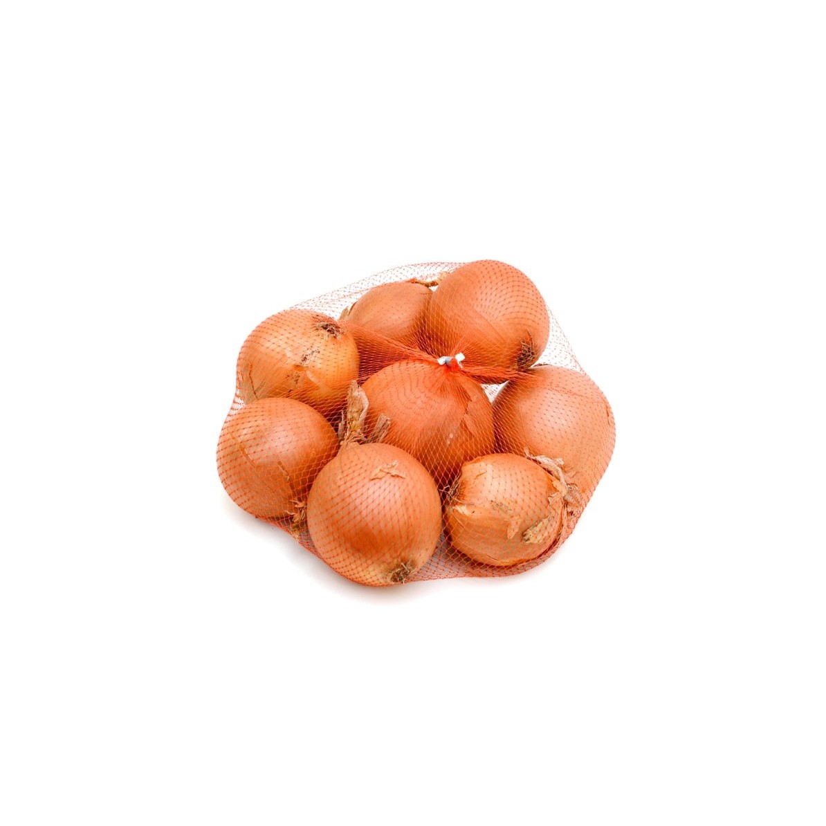 YELLO ONIONS BAG 1 LBS