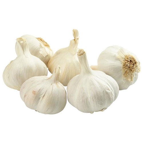 AMERICAN EGGPLANT 1 LBS