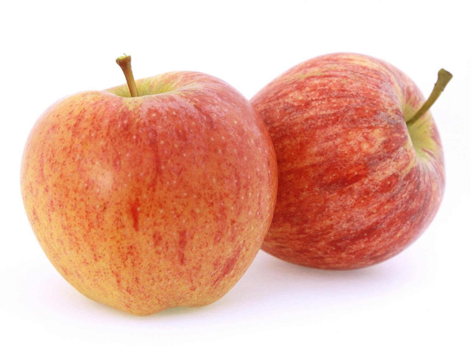Apple Gala 1 LBS