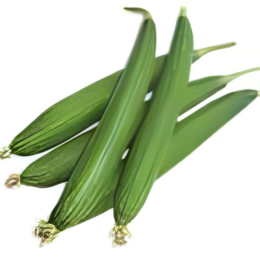 GARLIC 1 LBS