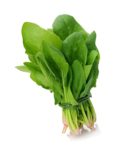 RADISH 1 LBS