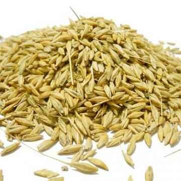 JAV FOR PUJA GRAIN MARKET