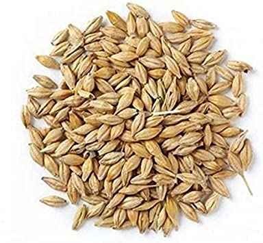 JAV FOR PUJA GRAIN MARKET 100 GM