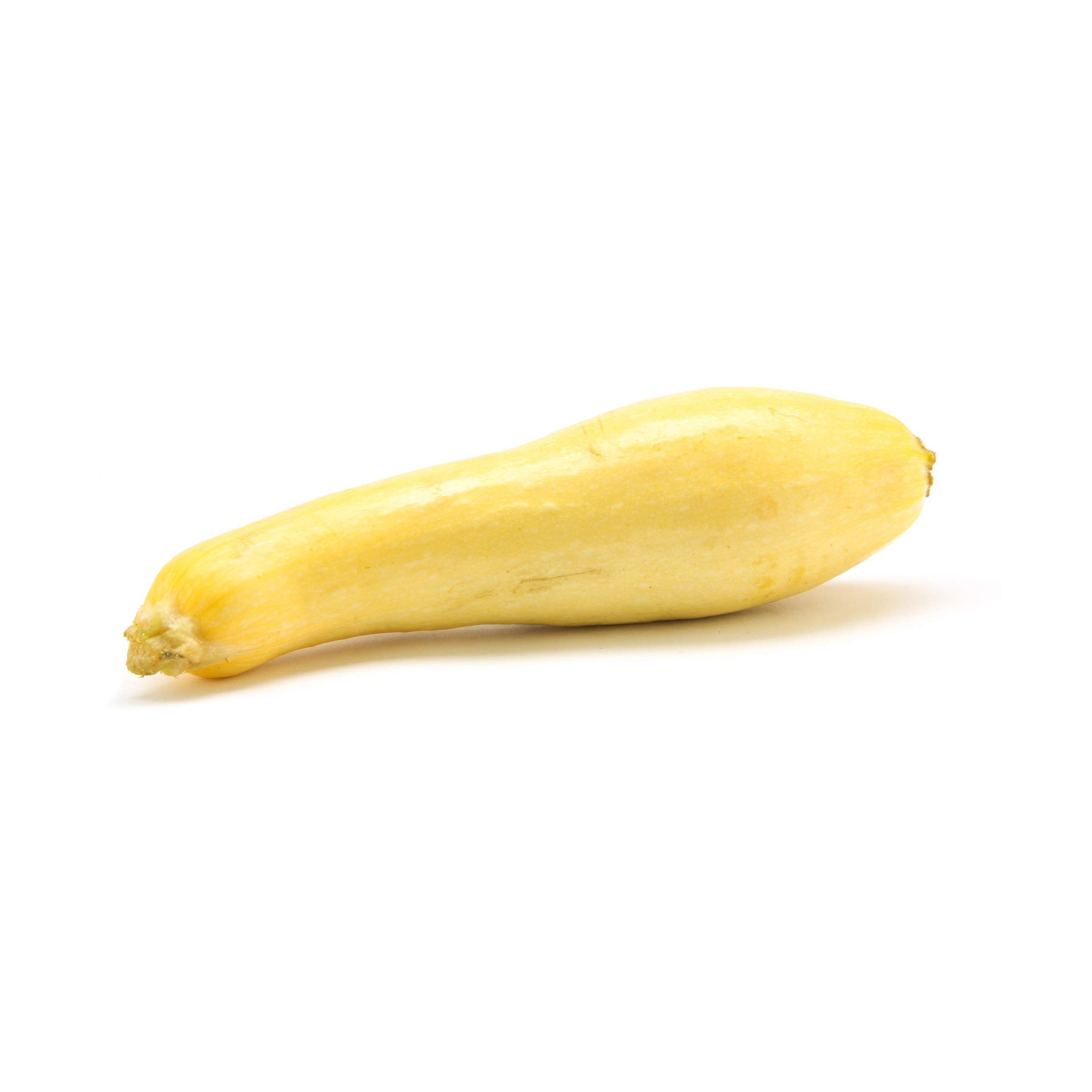 YELLOW SQUASH 1 LBS