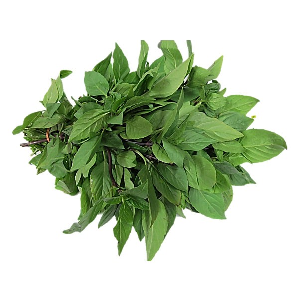 Basil Leaves 1 LBS
