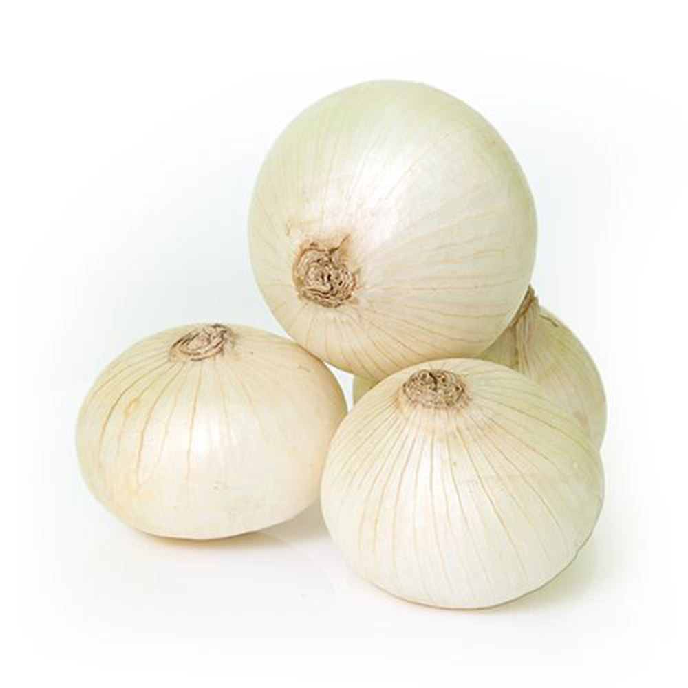 WHITE ONIONS 1 LBS