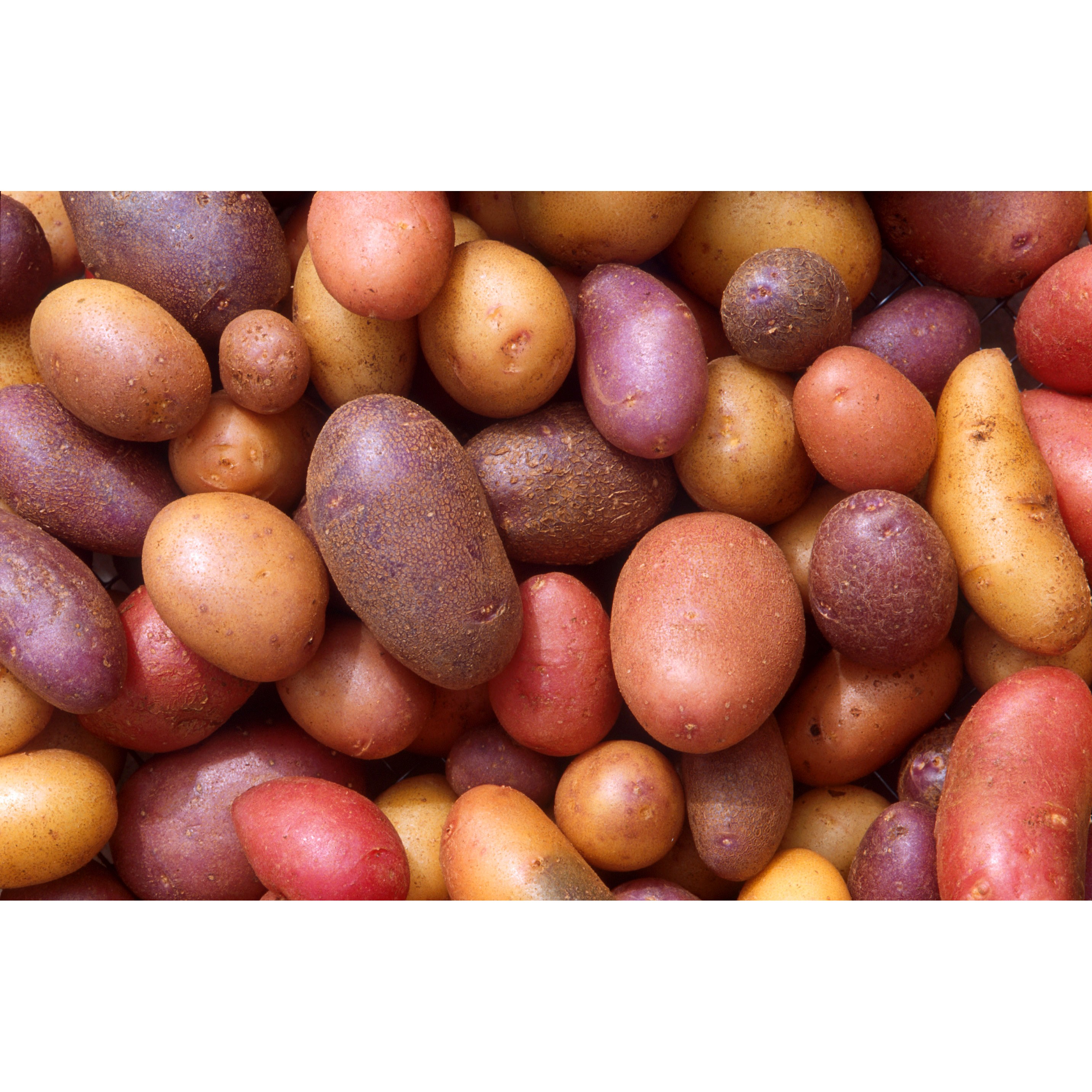 POTATOES 1 LBS