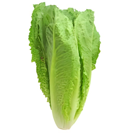 Romain Lettuce 1 LBS
