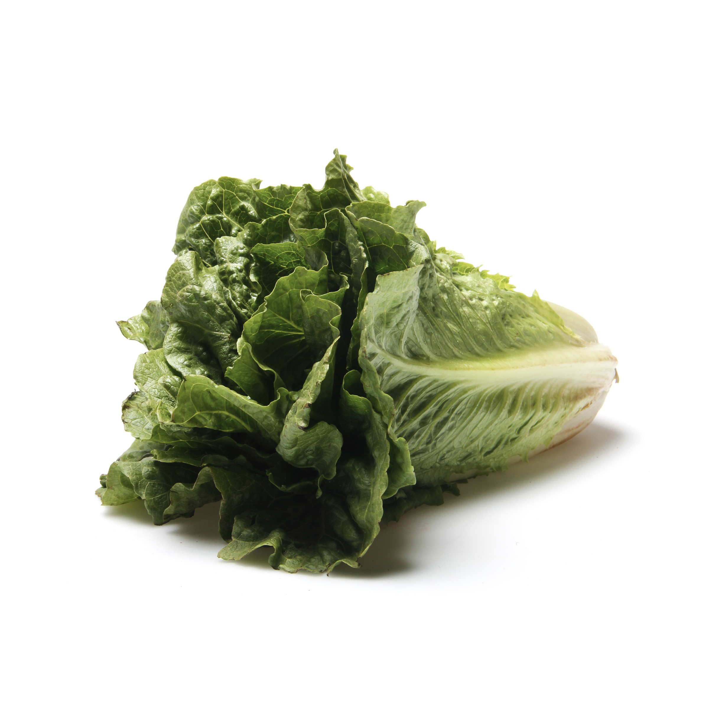 Romain Lettuce 1 LBS