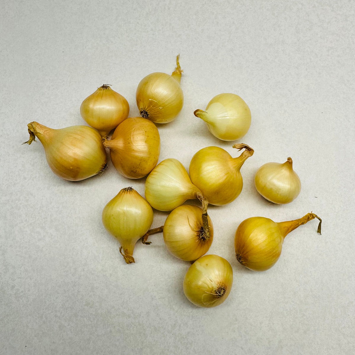 PEARL ONION Loose 1 LBS