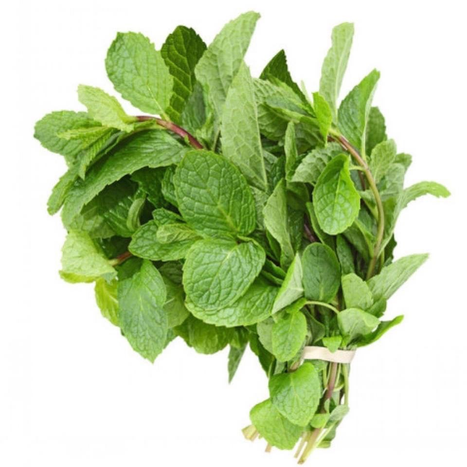 Mint Bunch 1 BUNCH