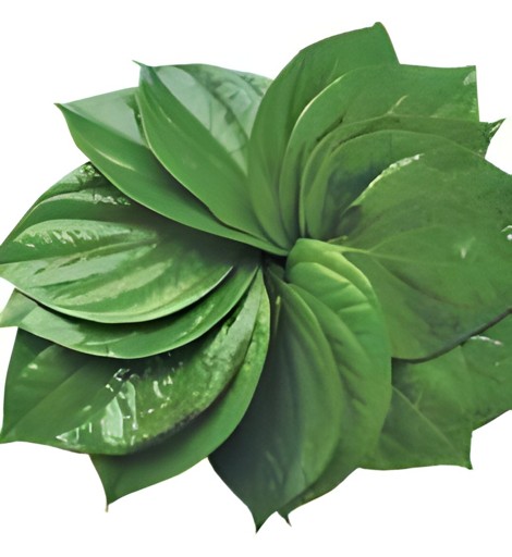 Pan Leaf 1 BUNCH