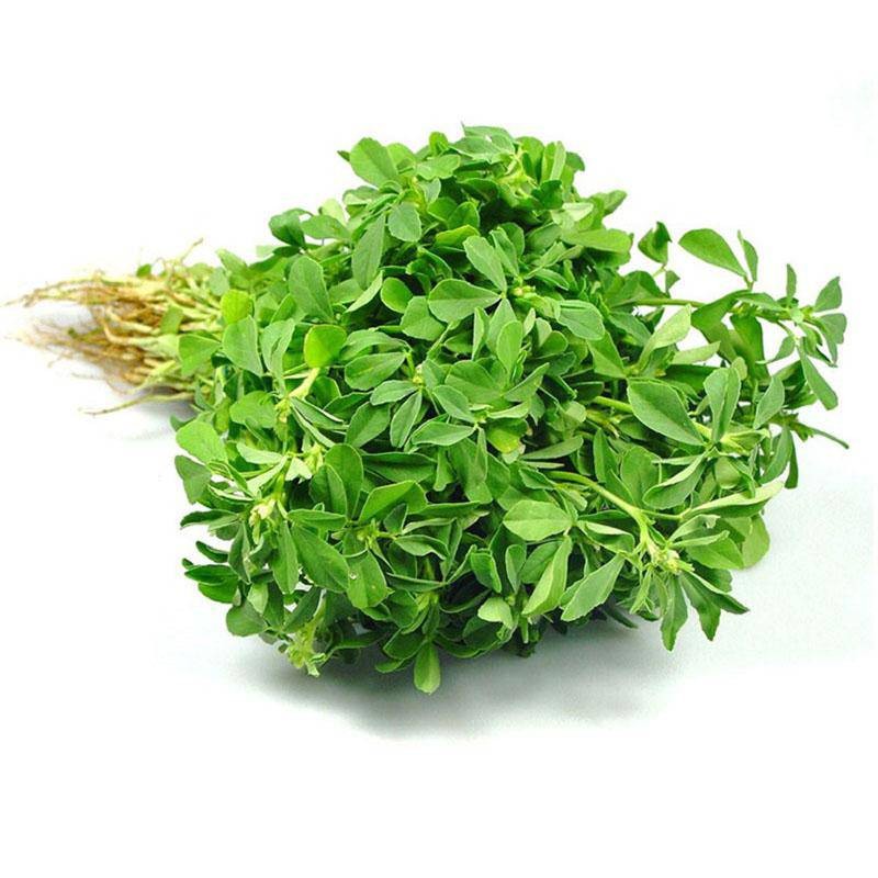 Methi Bunch 1 BUNCH