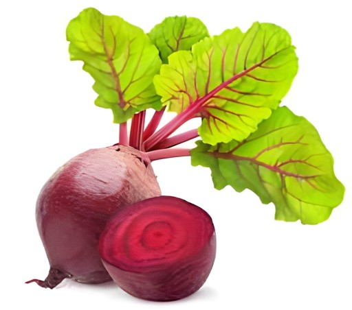 Beetroot 1 BUNCH