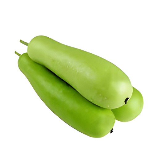 Lauki   Desi Dudhi 1 BUNCH
