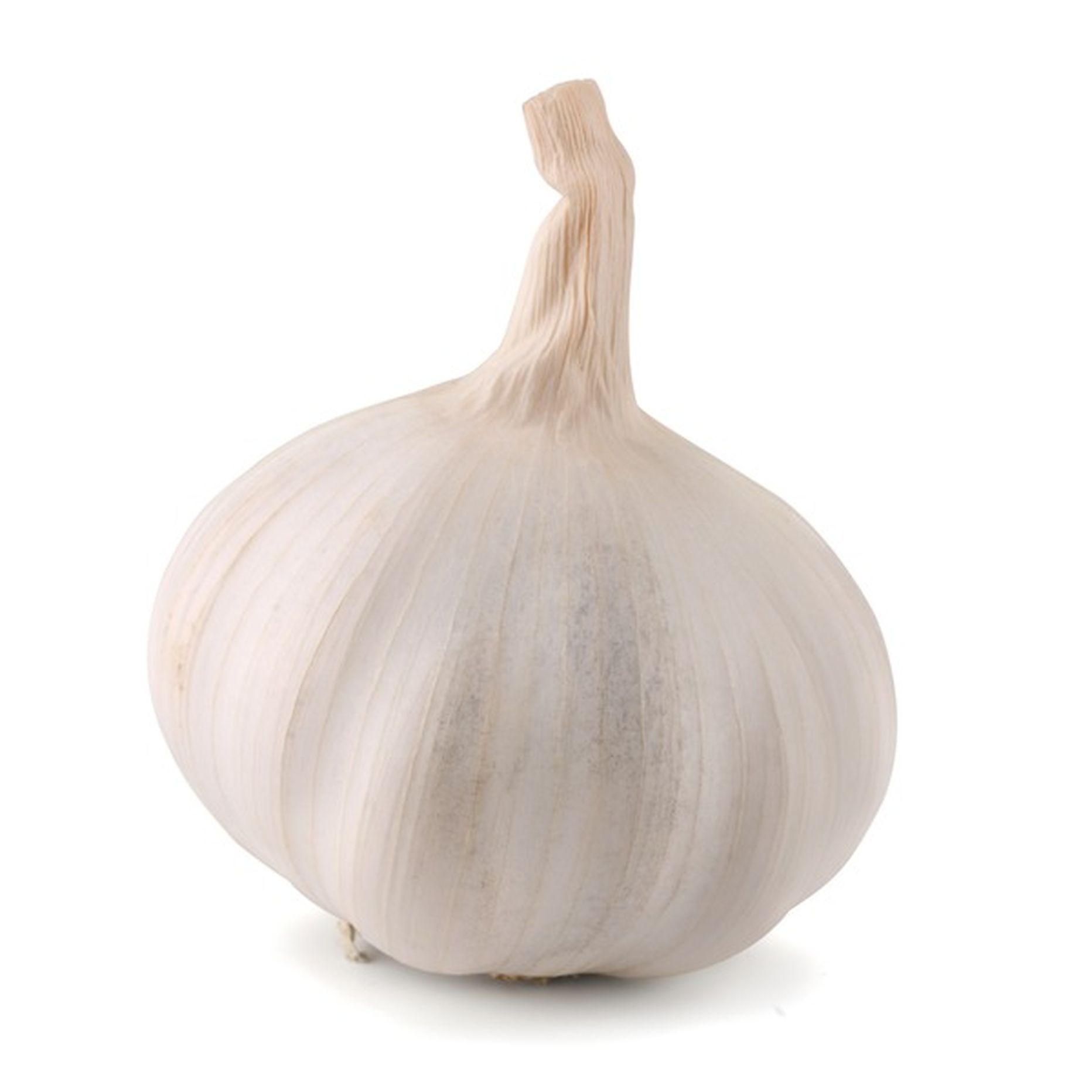 Garlic Bunch 1 LBS