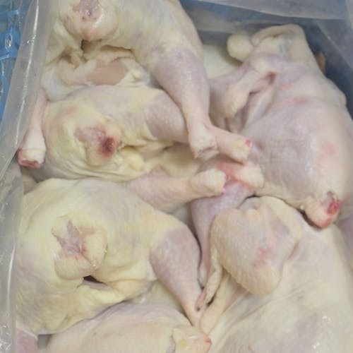 Baby Chicken   Whole 4 LBS