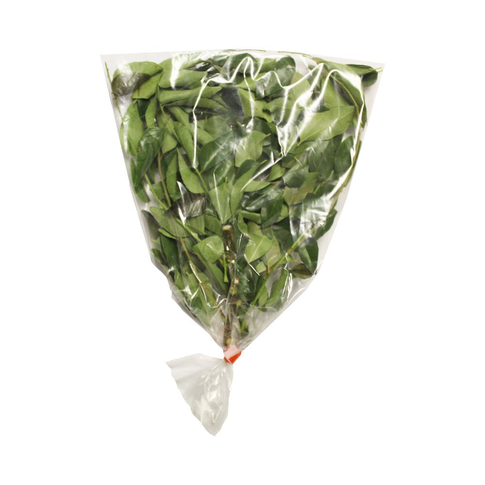 Curry Leaves 1 BUNCH
