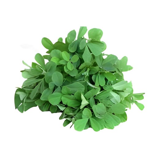 Fresh Methi Bunch 1 BUNCH