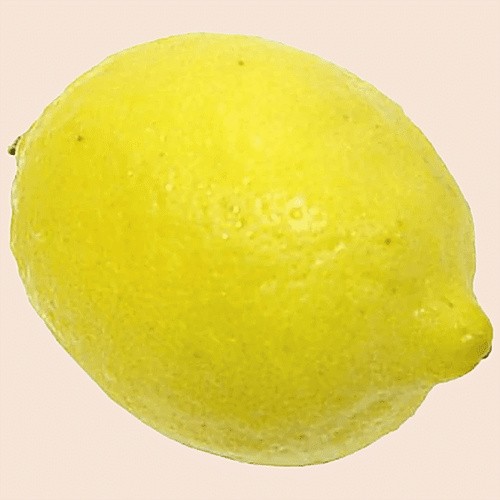 Lemon 1 EACH