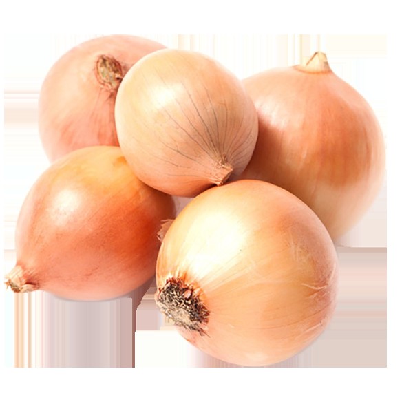 YELLOW ONION  10 LB 10 LBS