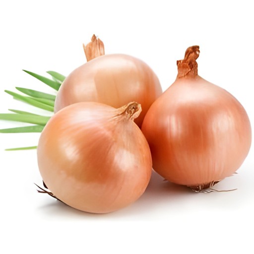 YELLOW ONION  2 LB 2 LBS