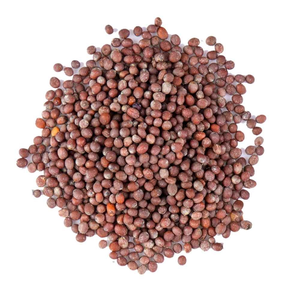 MUSTARD SEED   SHABROS 170 GM