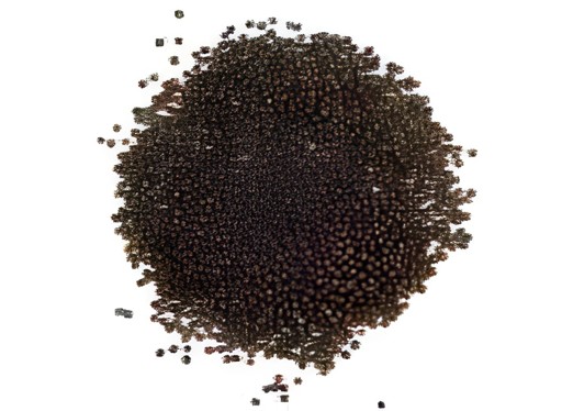 KALUSTYANS ANDHRA RAI MUSTARD SEED 0.13 Lbs