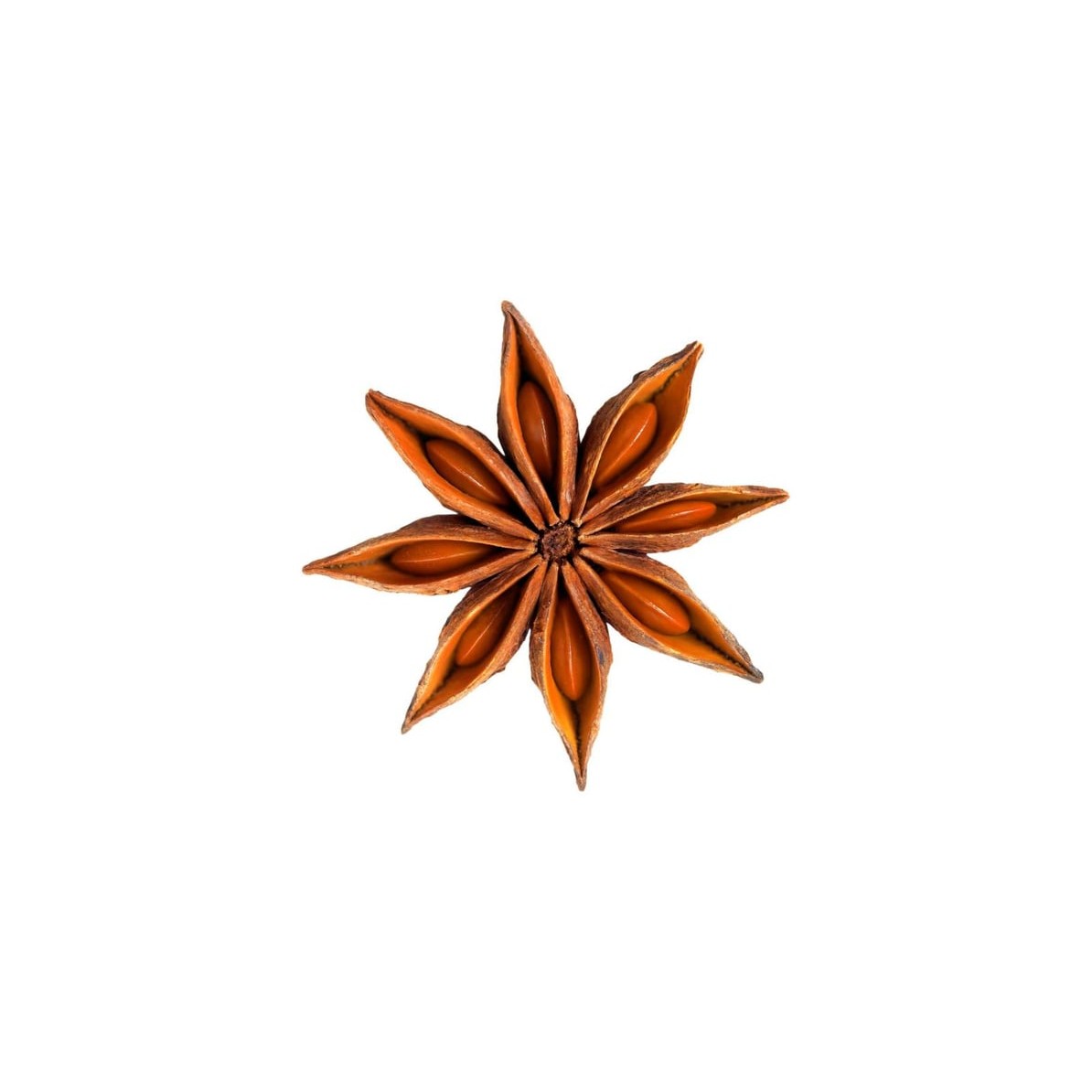 KALUSTYANS STAR ANISE 0.19 Lbs