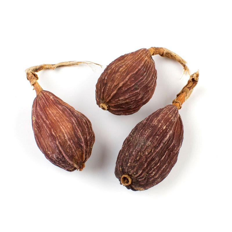 KALUSTYANS RED CARDAMOM CAU GUO 0.06 Lbs
