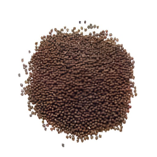 KALUSTYANS BROWN MUSTARD SEED 0.38 Lbs