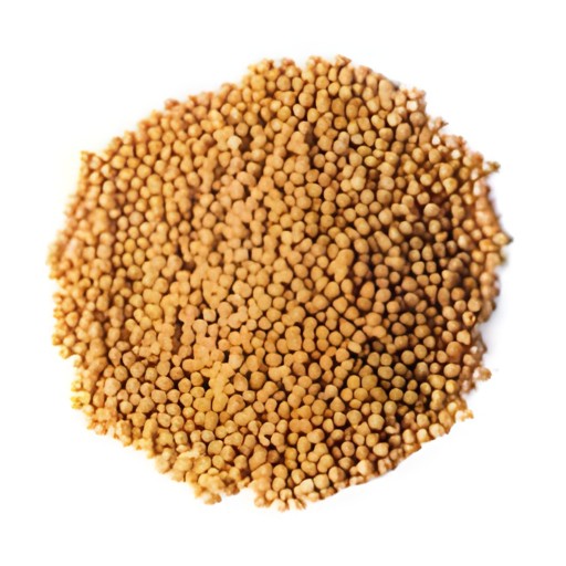 KALUSTYANS YELLOW MUSTARD 0.38 Lbs