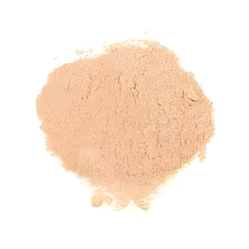 KALUSTYANS TOASTED ONION POWDER 0.38 Lbs