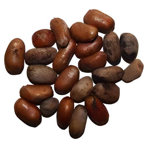 KALUSTYANS CALABUSH NUTMEG 0.13 Lbs