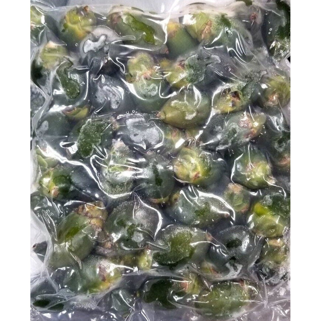 Young Baby Beetle Nut 16 OZ