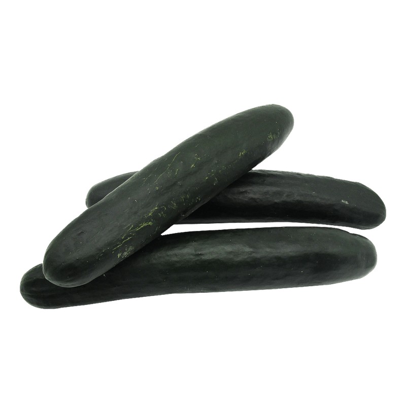 American Cucumber 1 LBS