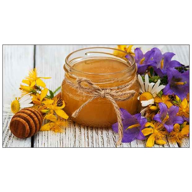 PENNSYLVANIA APIARIES WILD FLOWER HONEY 1 Lbs