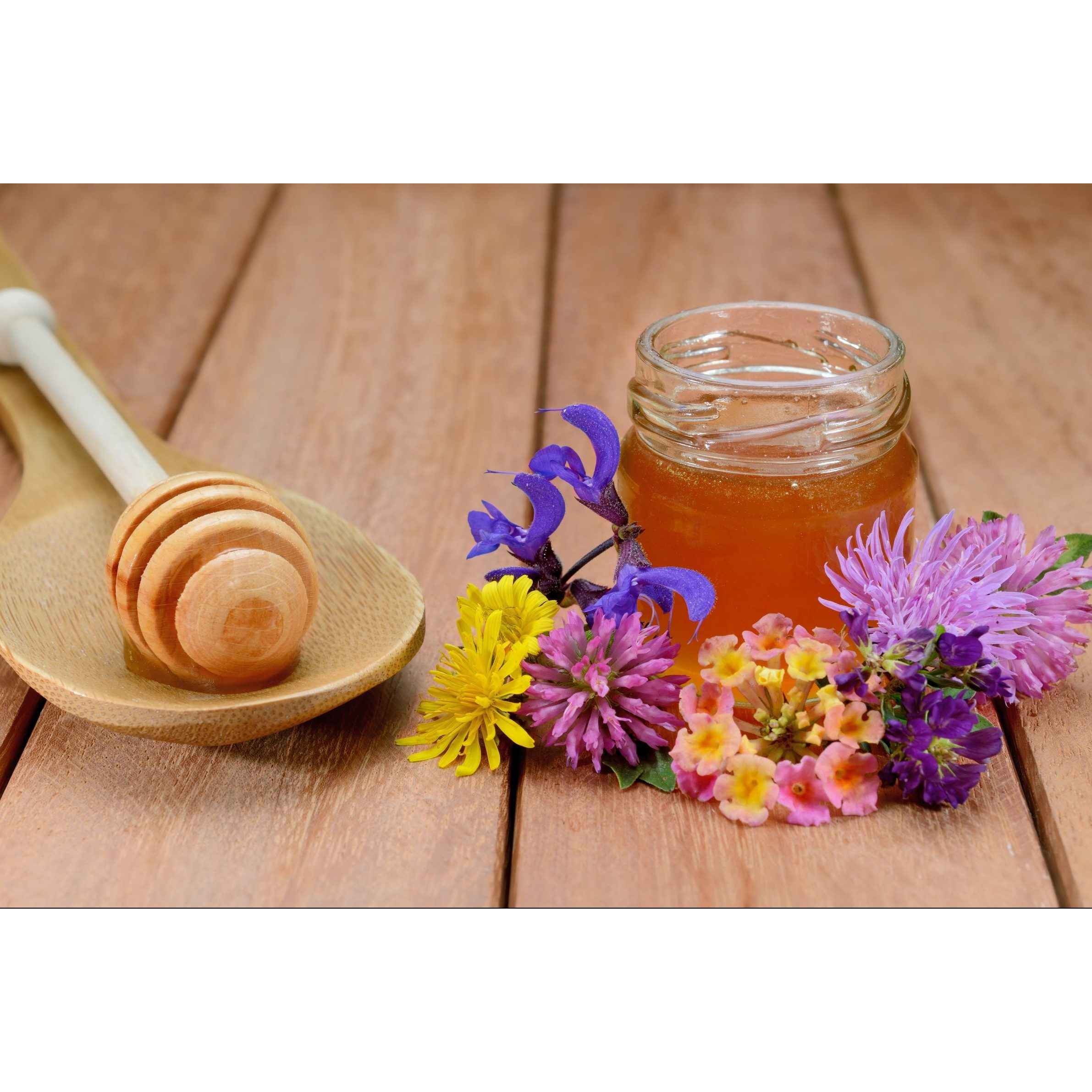PENNSYULVANIA APIARIES RAW HONEY ALFALFA 1 Lbs