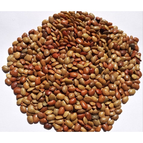 SHRINATH HORSE GRAM 4 LBS