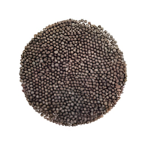SH Mustard Seeds 200 GM