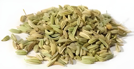 Shrinath Fennel Seeds 1 PACK