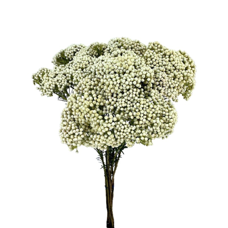 SHRINATH RICE FLOWER 4 LBS