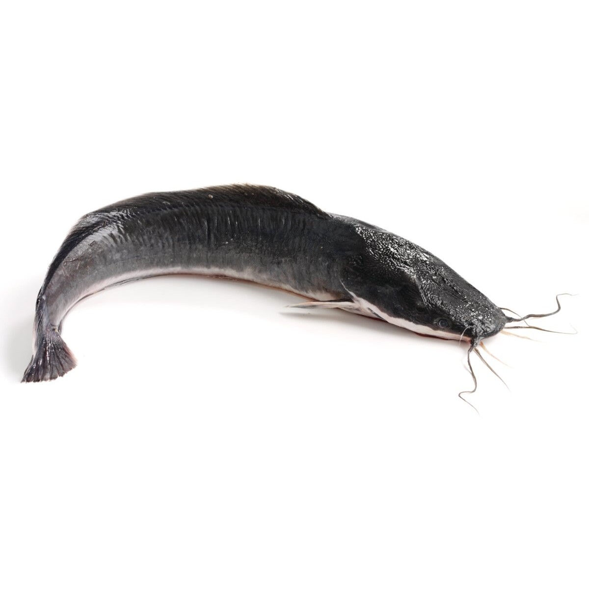 Catfish 2 LB
