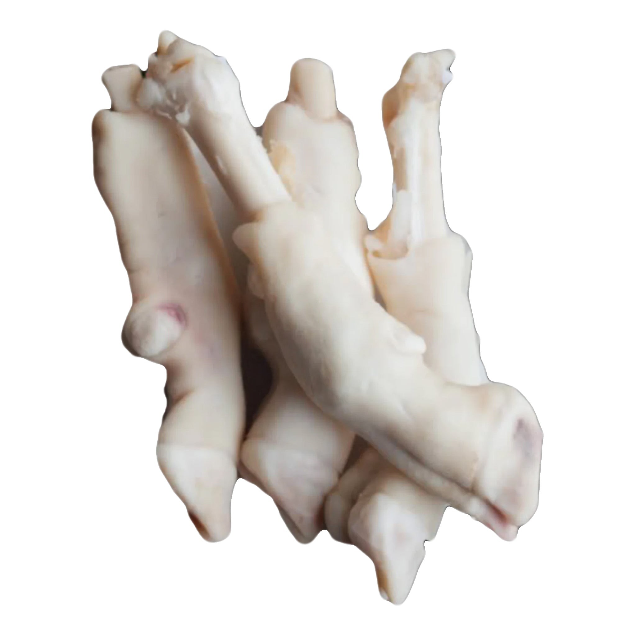 Lamb Feet   Fat Trimmed 2 LBS