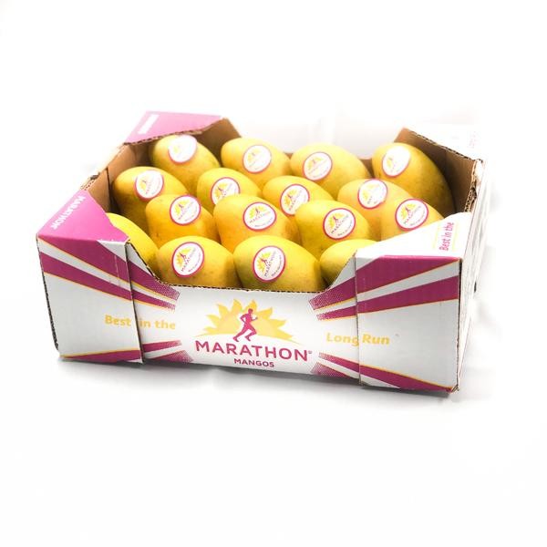 Marathon Mango 1 CASE