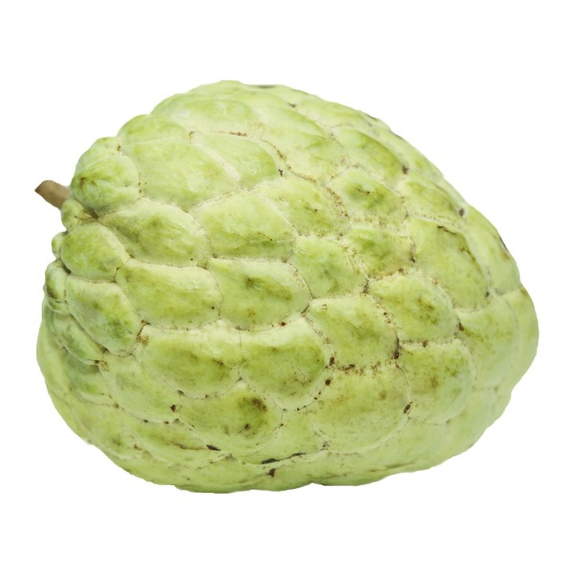 Cherimoya 1 LBS
