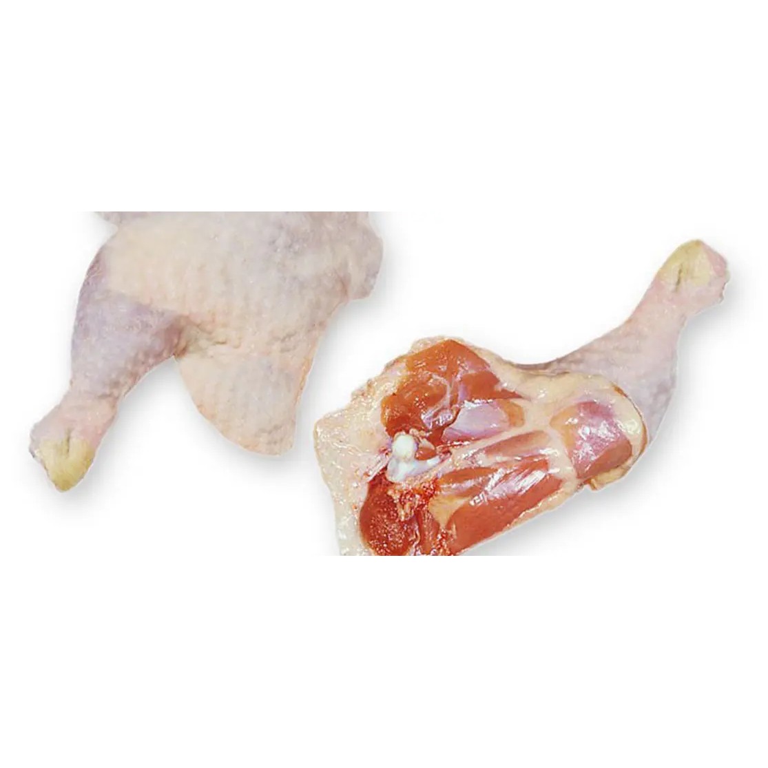 Tilapia Fillet 2 LB