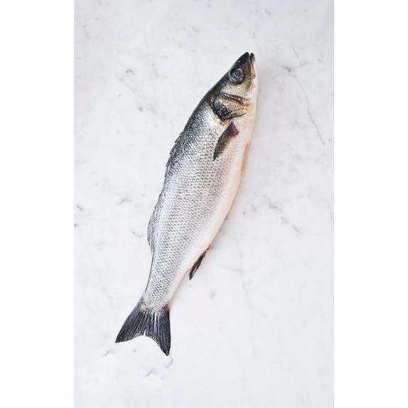 Bronzino   Lean Cut 3 LBS