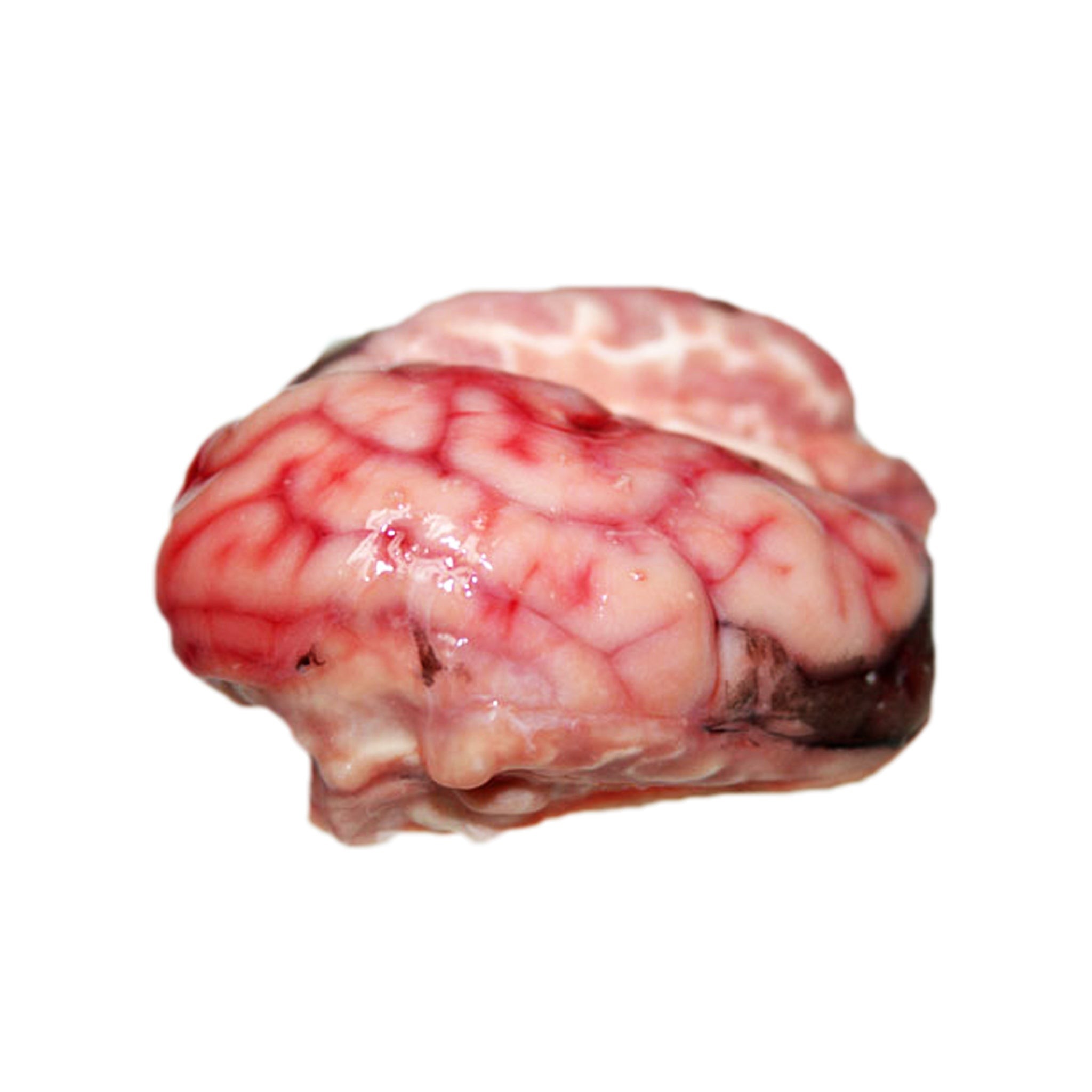 Offal Brain 2 LB